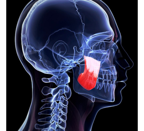 7 Ways Mouthguards Help with Clenching