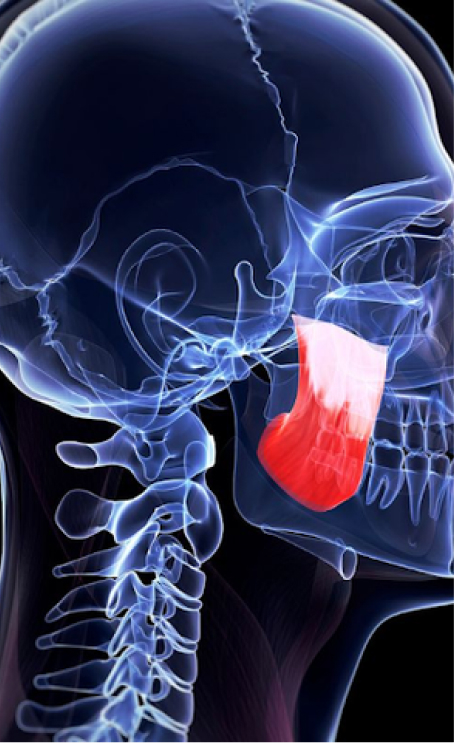 7 Ways Mouthguards Help with Clenching