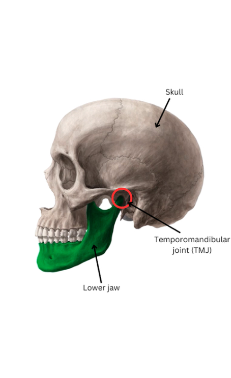 Can Grinding Teeth Lead to Migraines? A Comprehensive Look